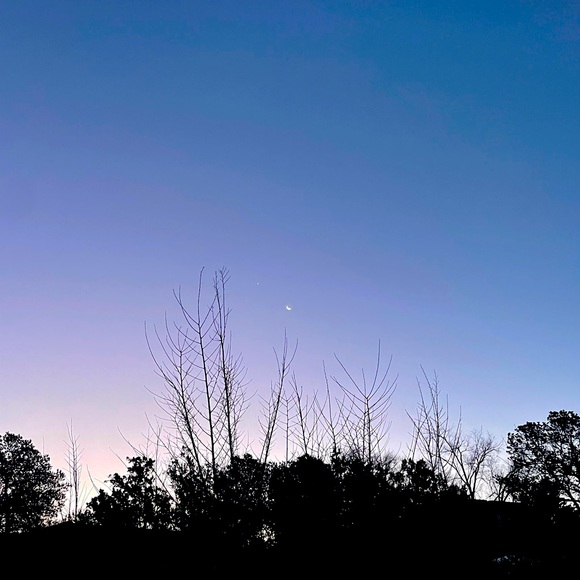 Meet your Posher, Meg - Picture 1 of 1